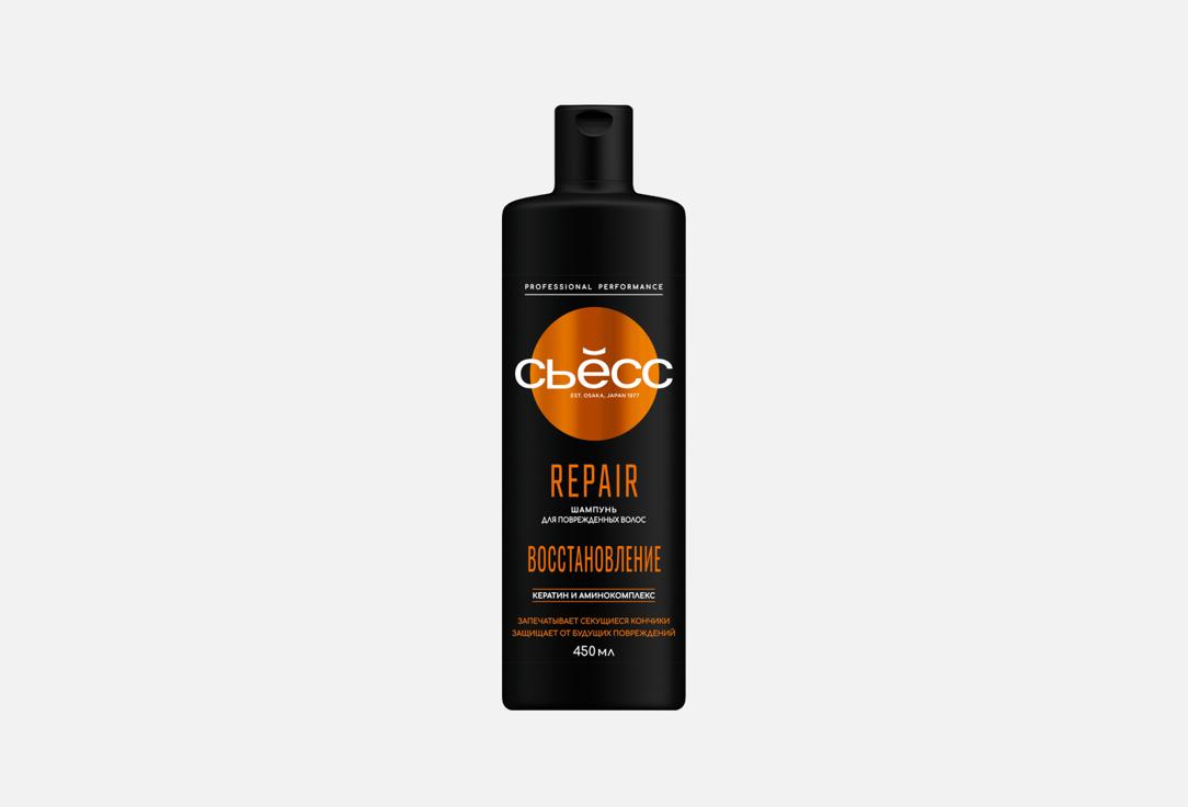 Repair 450 мл