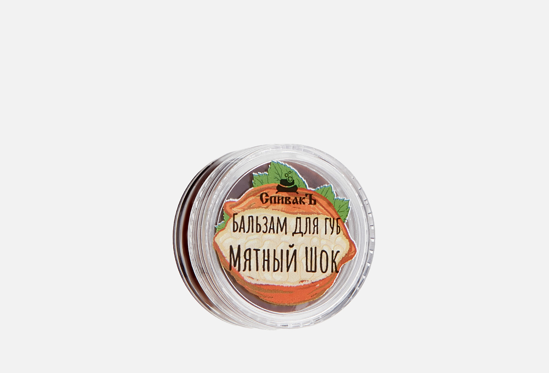 Мятный шоколад 4 г