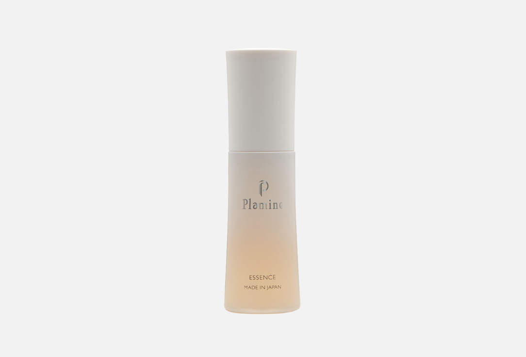 Essence Plamine 30 г