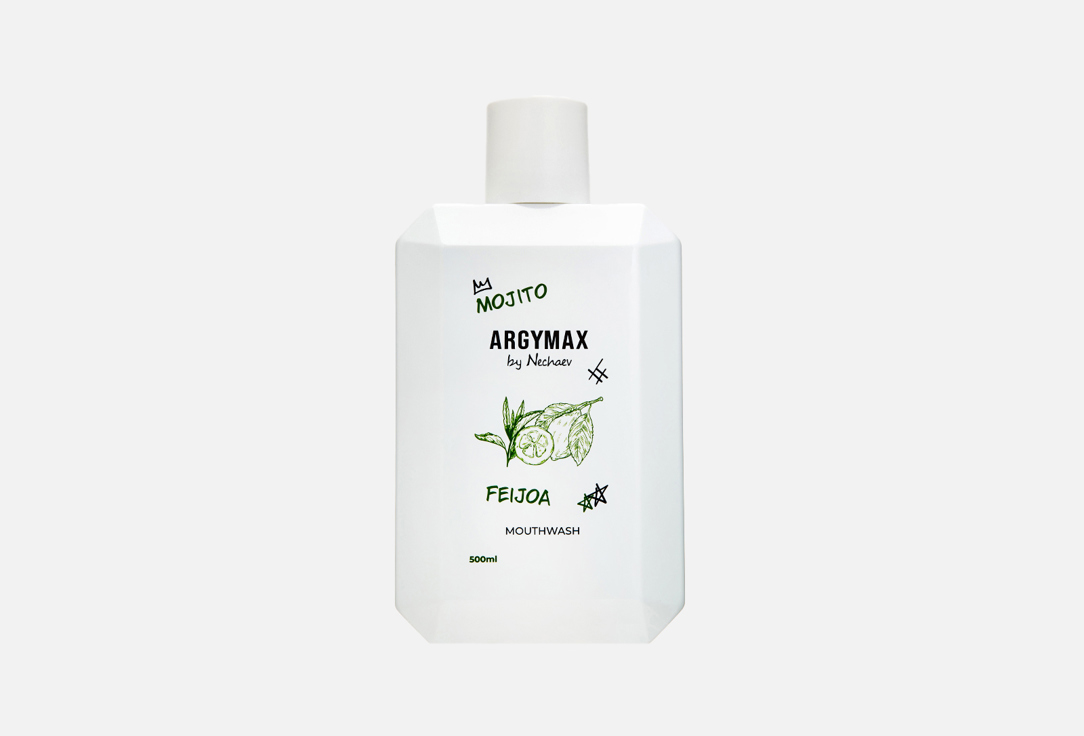 MOJITO - FEIJOA 500 мл
