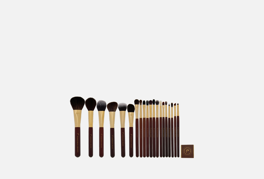 Brushes pro2.0 20 шт
