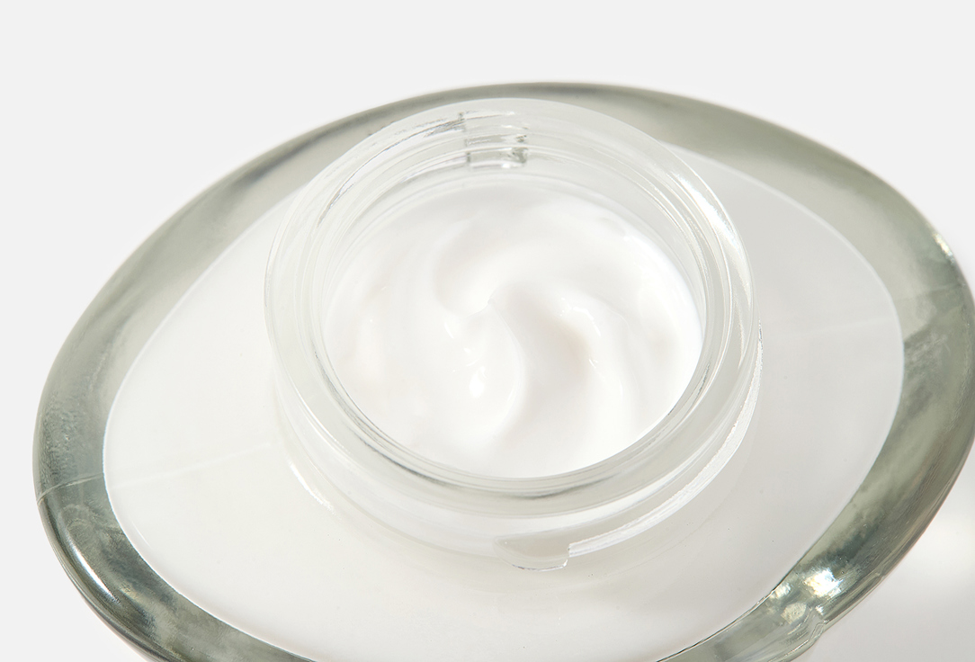 PREDIGE Les Naturelles Moisturizing day cream  Normal to combination skin 50 мл — фото 3