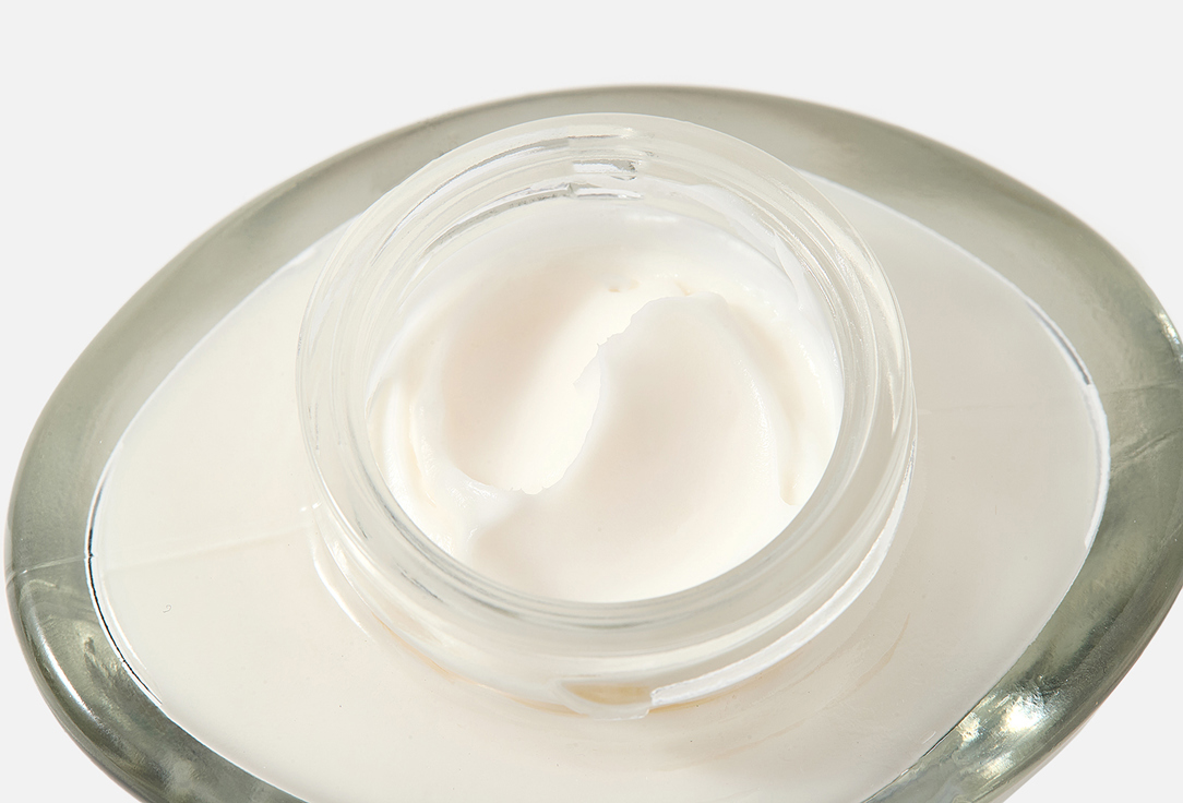 PREDIGE Les Naturelles Nourishing night cream  Normal to combination skin 50 мл — фото 3