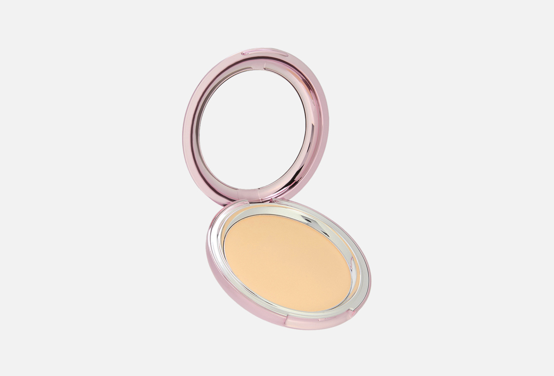 SHINING POWDER PACT 20 г