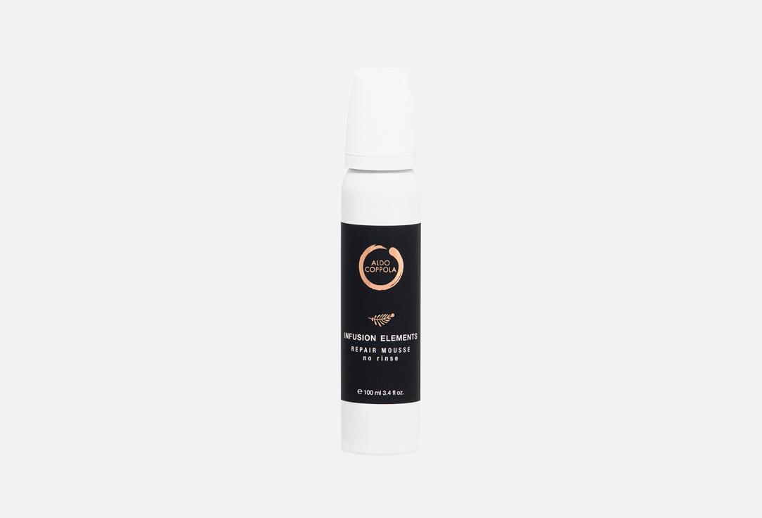 Infusion Elements Mousse 100 мл