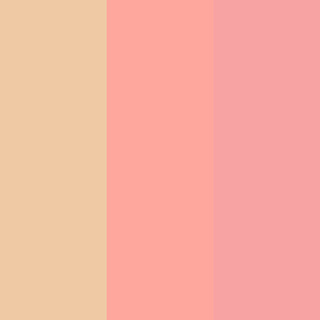 SHIKSTUDIO Highlighter, blush peach, blush rose 9 г — фото 6