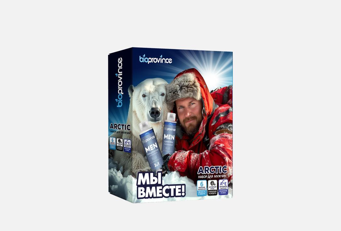 ARCTIC, polar bear 2 шт