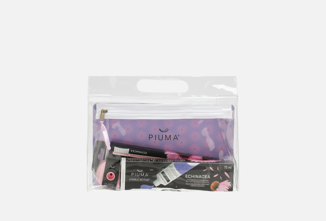 ECHINACEA BABY PINK 4 шт