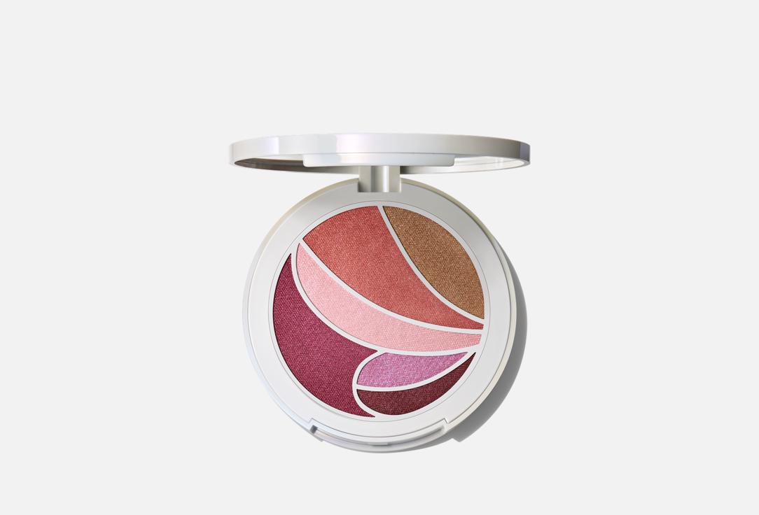 Face and Eye Palette 8 г