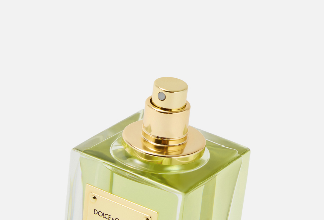 DOLCE & GABBANA VELVET MUGHETTO 100 мл — фото 2