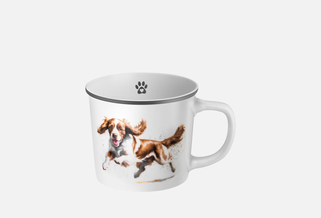 Welsh Springer Spaniel 1 шт