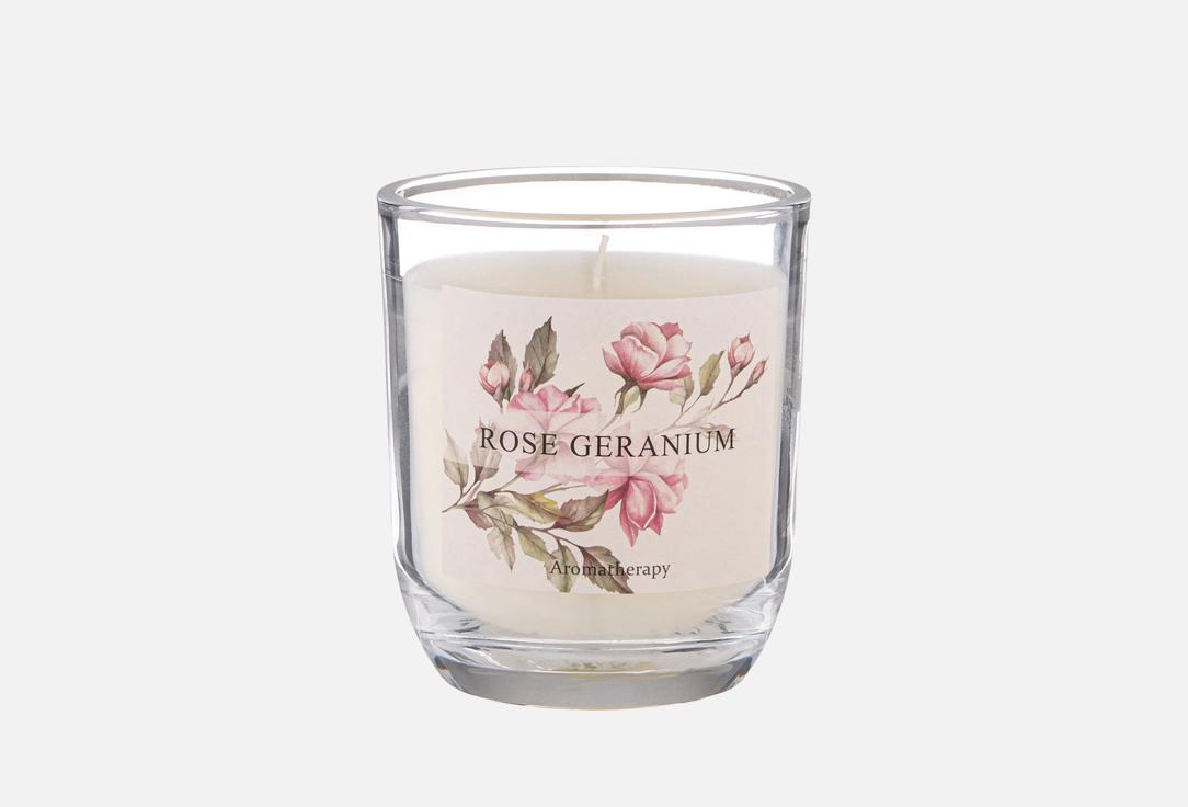 ROSE GERANIUM 1 шт