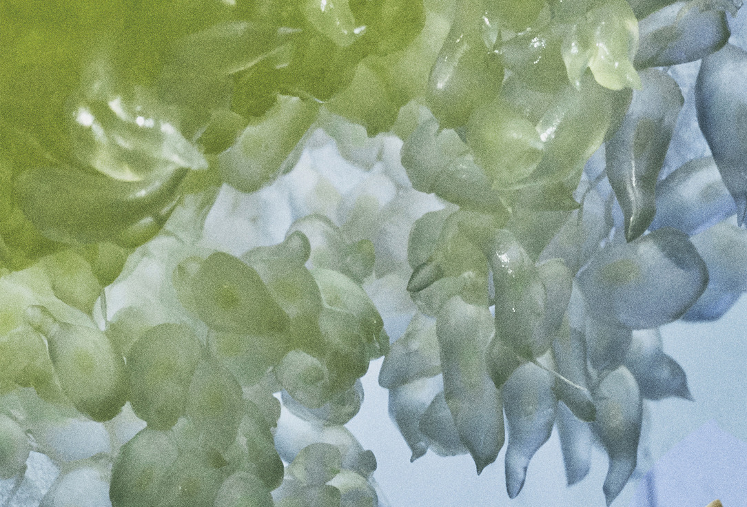 LOEWE Verdant Grove 100 мл — фото 3