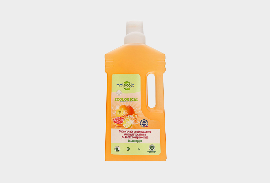 All purpose cleaner Citrus Power 1000 мл