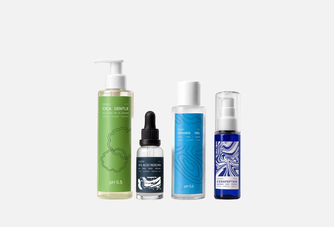 Cleansing and Moisturizing set 4 шт