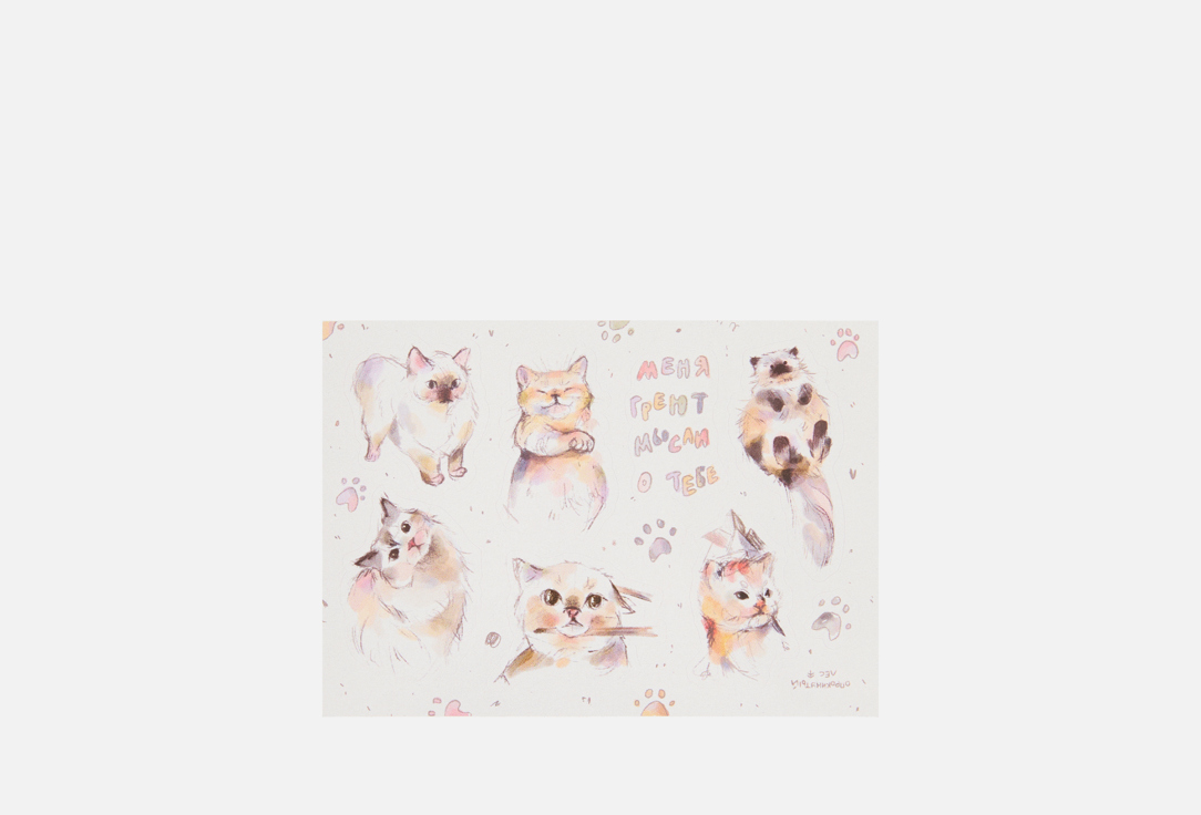 Котики 1 шт