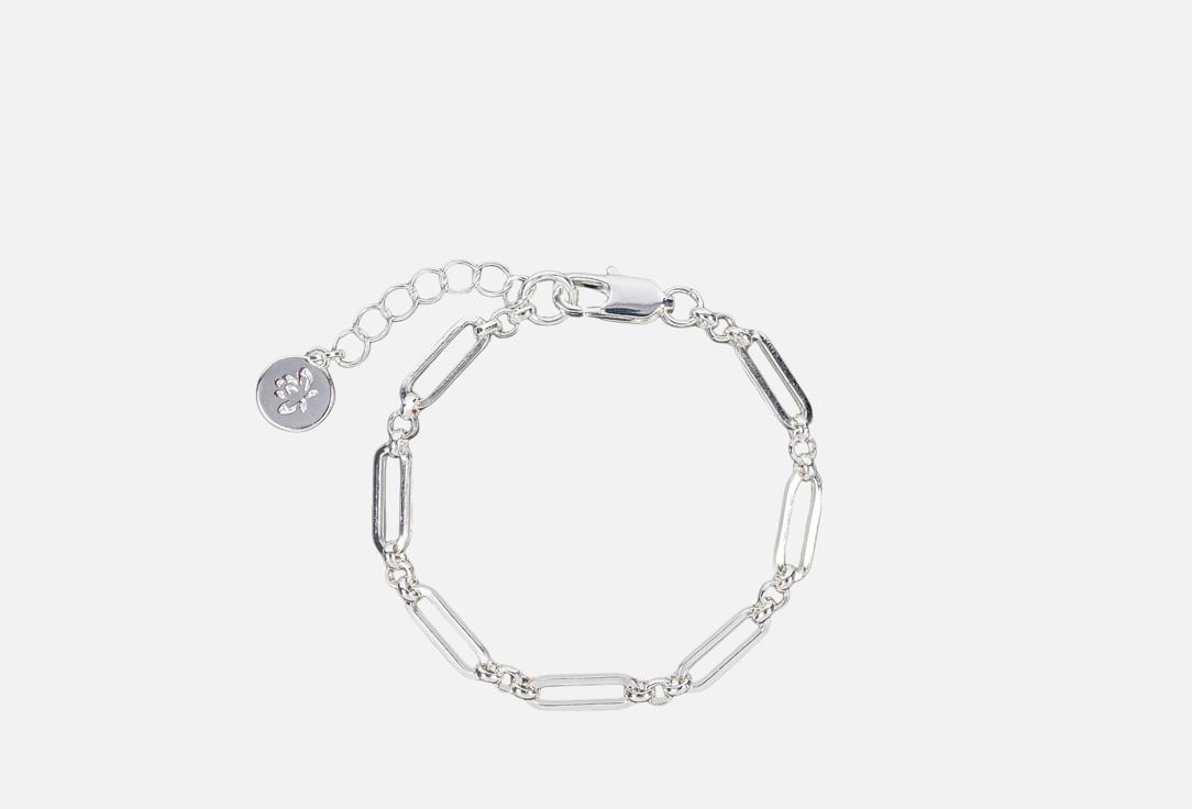 Chain Сarabiner 1 шт