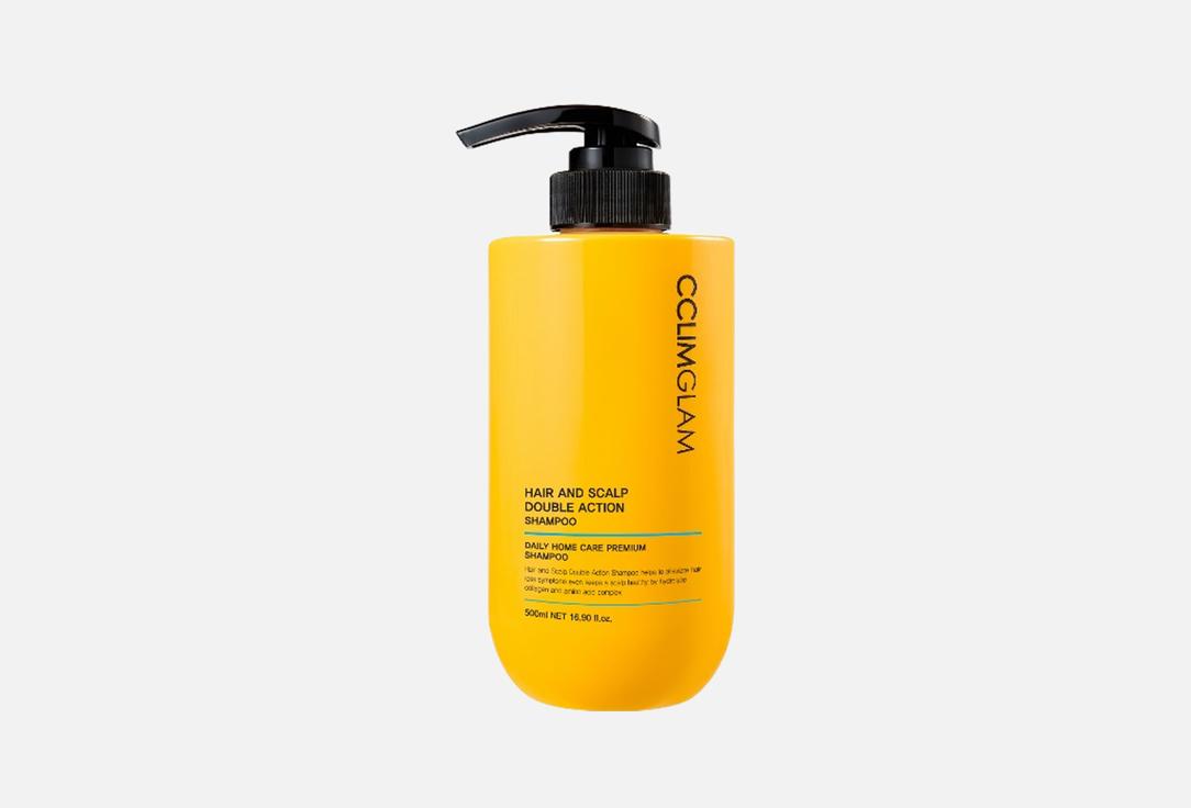HAIR AND SCALP DOUBLE ACTION 500 мл