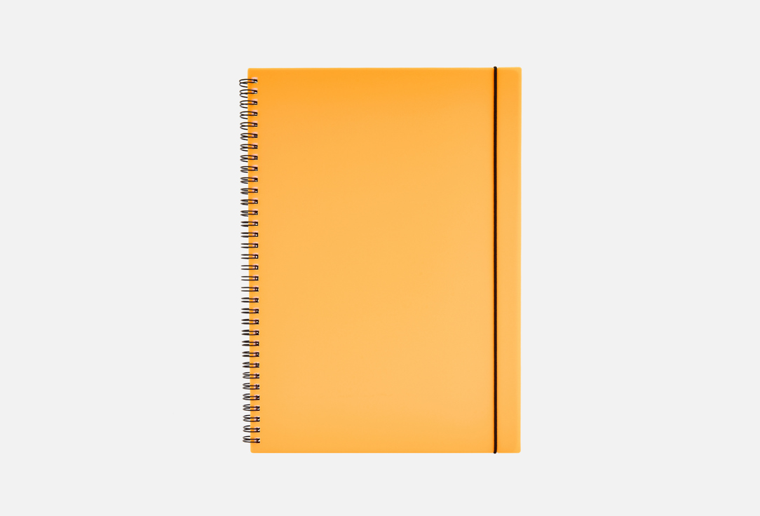 Favorite color А4 1 шт