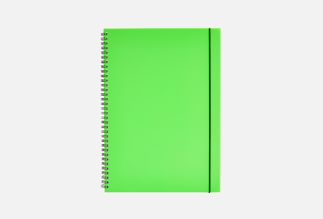 Favorite color А4 1 шт