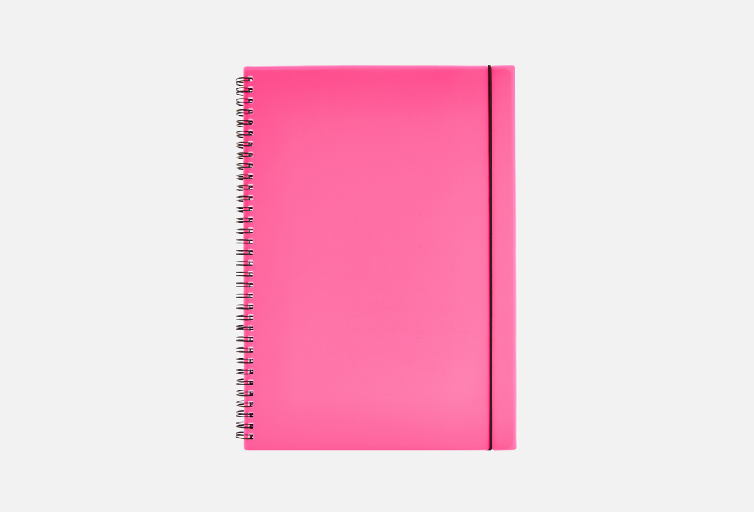 Favorite color А4 1 шт