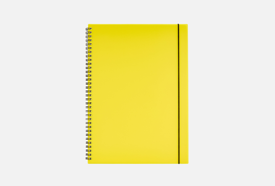 Favorite color А4 1 шт
