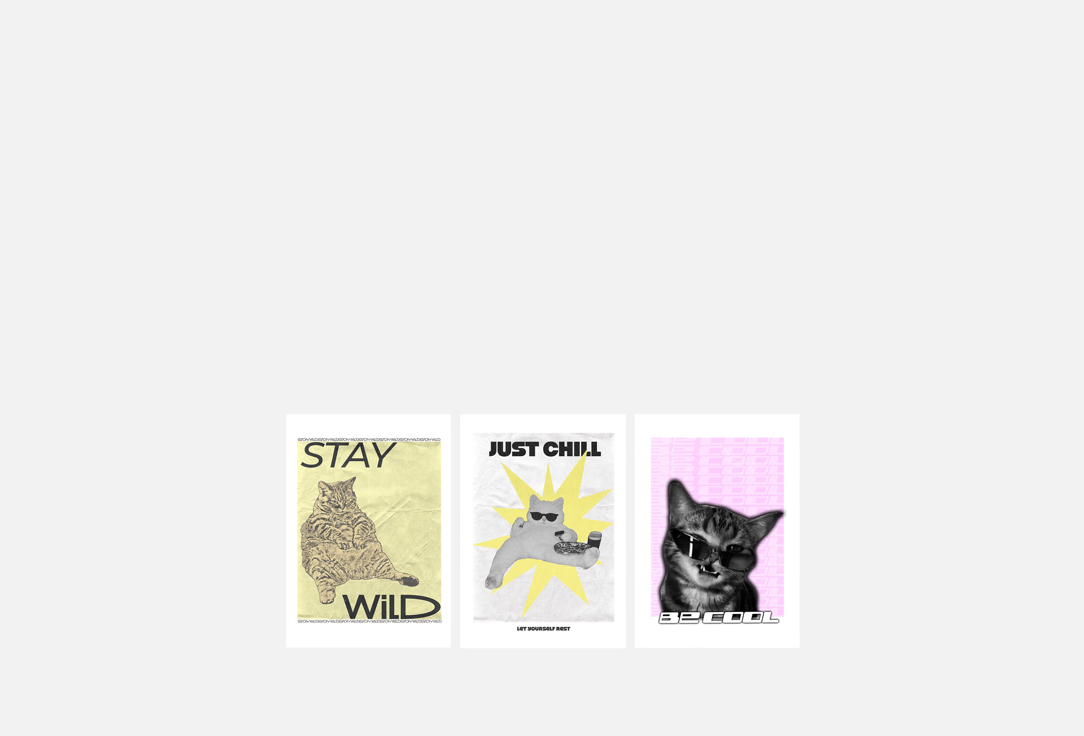 Коты, Stay Wild, 21х15см 3 шт