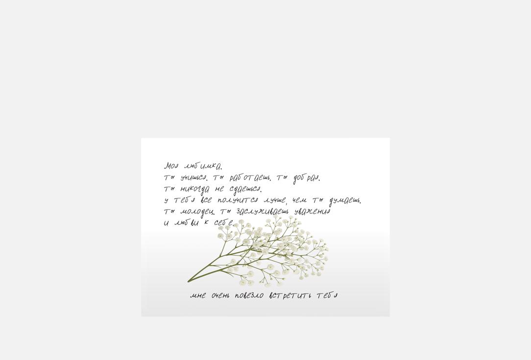 Signature, тише, любимка 1 шт