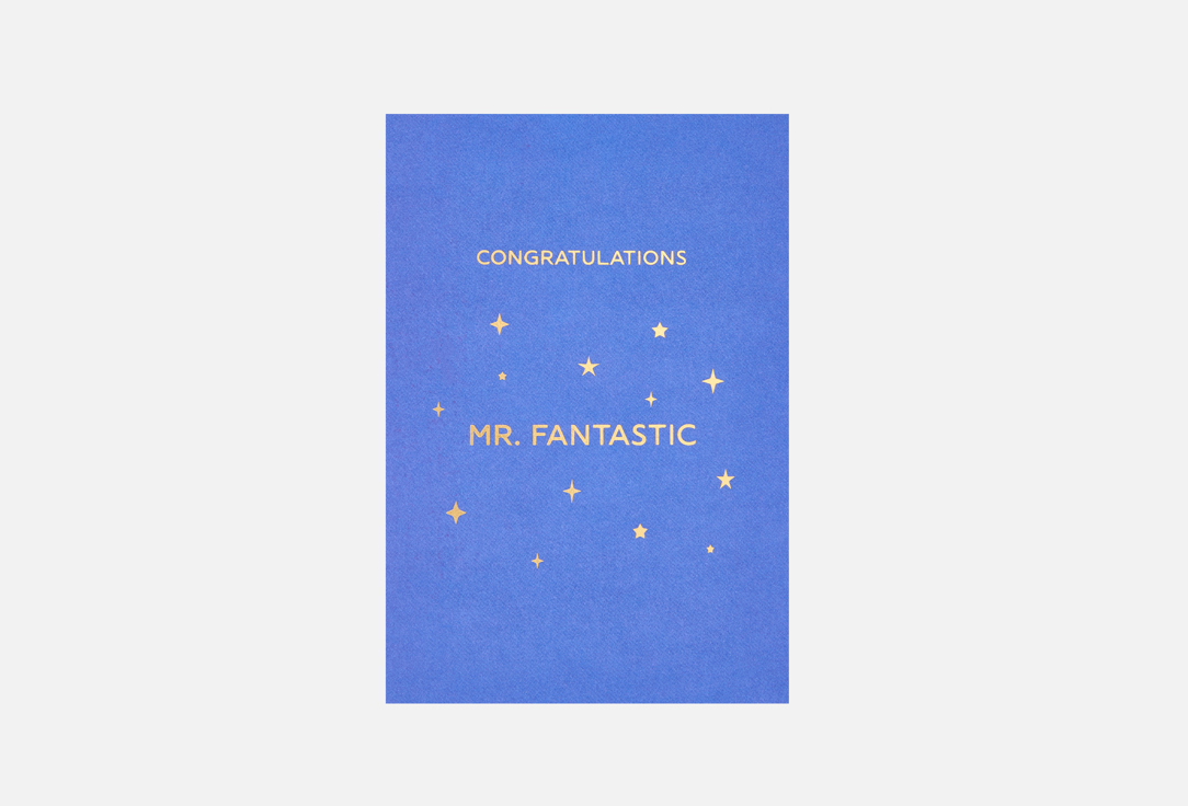 Mr Fantastic 1 шт