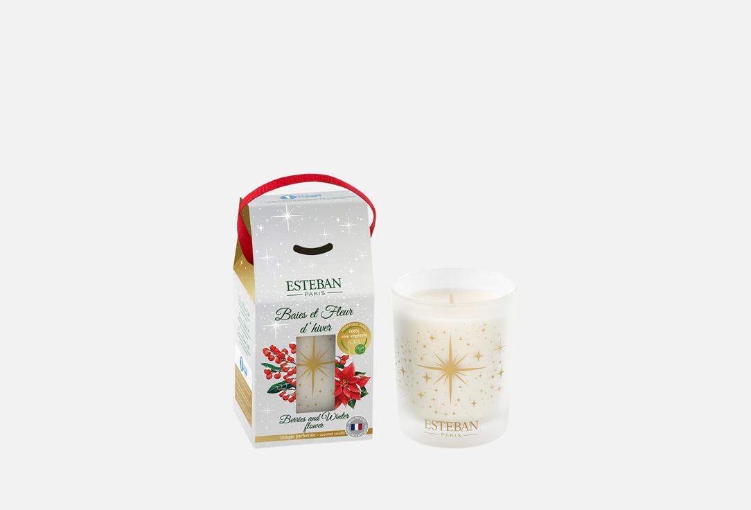 Bougie parfumée berries and winter flower 180 г