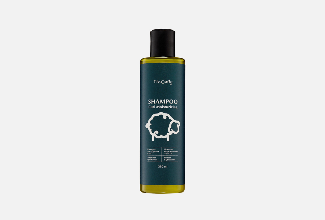 Curl Moisturizing 250 мл