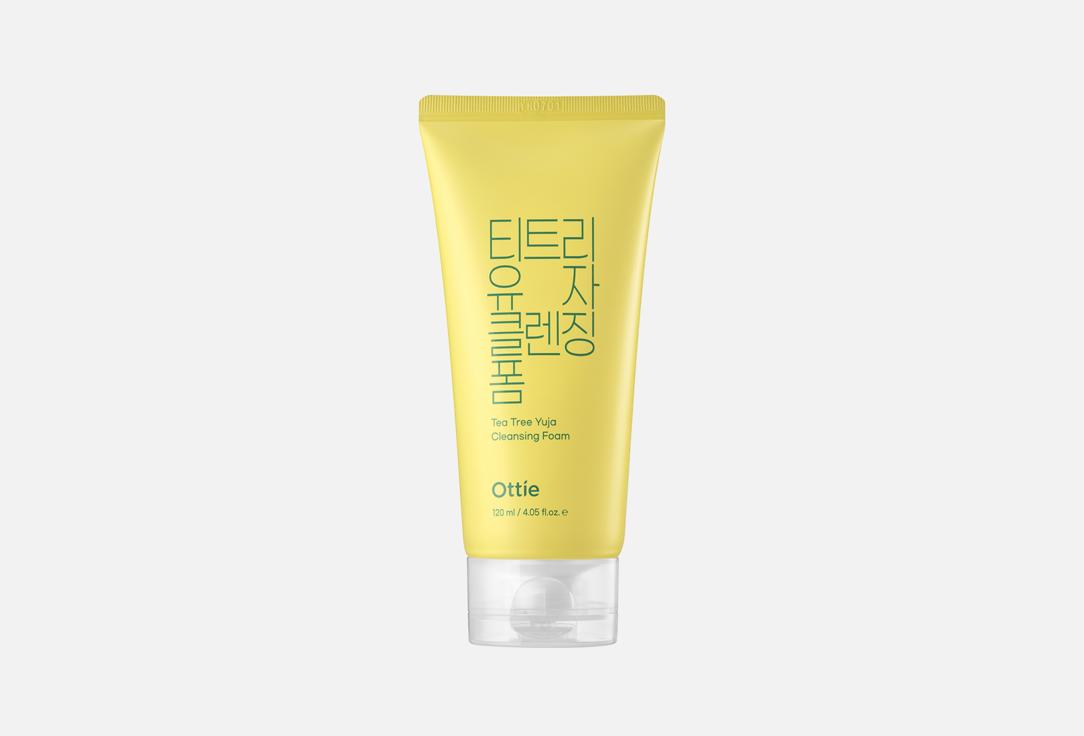 Tea Tree Yuja Cleansing Foam 120 мл