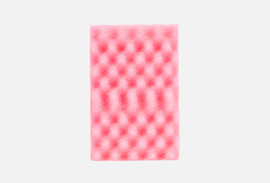 PRO HARD SPONGE M 1 шт