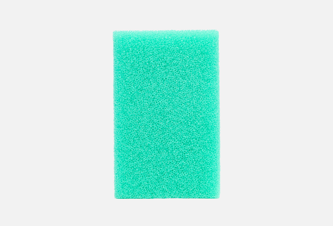 PRO HARD SPONGE 1 шт